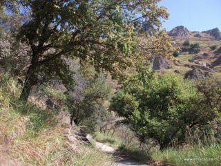Torrente Caliero